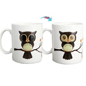 C8095W-OWL Hot Changing Ceramic Mug 11oz Heated White Coffee Mug of Novelty OWL Design Mug Gift Idea